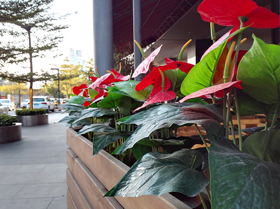 年度收官 華為榮耀6 Plus上手體驗(yàn)