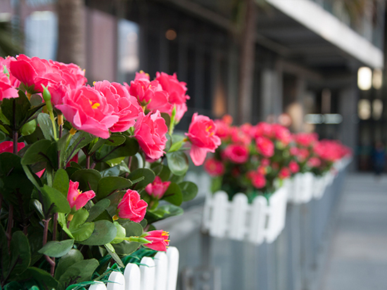 年度收官 華為榮耀6 Plus上手體驗(yàn)