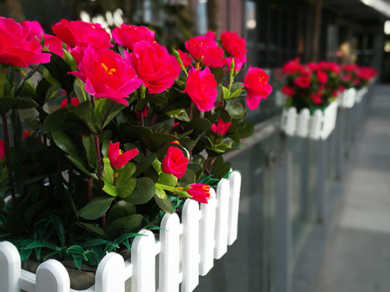 年度收官 華為榮耀6 Plus上手體驗(yàn)