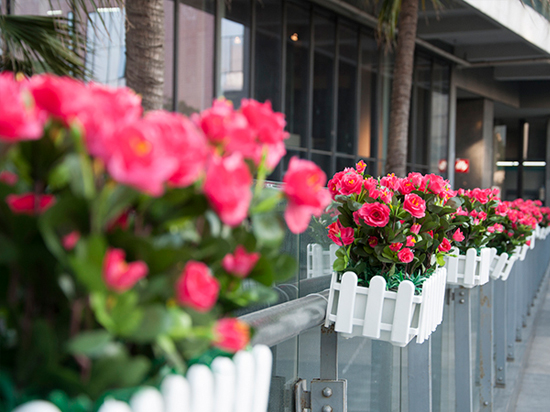 年度收官 華為榮耀6 Plus上手體驗(yàn)