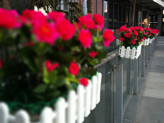 年度收官 華為榮耀6 Plus上手體驗(yàn)