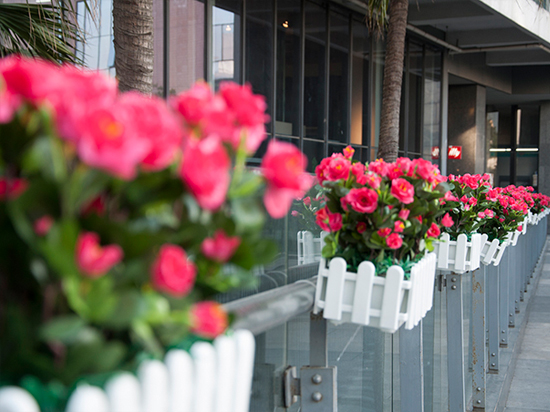 年度收官 華為榮耀6 Plus上手體驗(yàn)