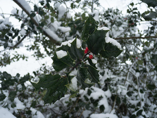 最強(qiáng)攝影手機(jī)松下CM1樣張曝光