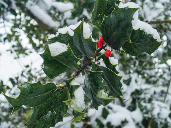 最強(qiáng)攝影手機(jī)松下CM1樣張曝光