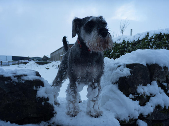 最強(qiáng)攝影手機(jī)松下CM1樣張曝光