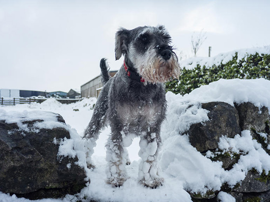 最強(qiáng)攝影手機(jī)松下CM1樣張曝光