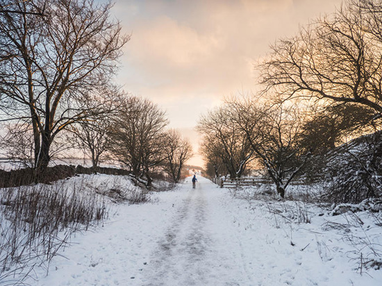 最強(qiáng)攝影手機(jī)松下CM1樣張曝光