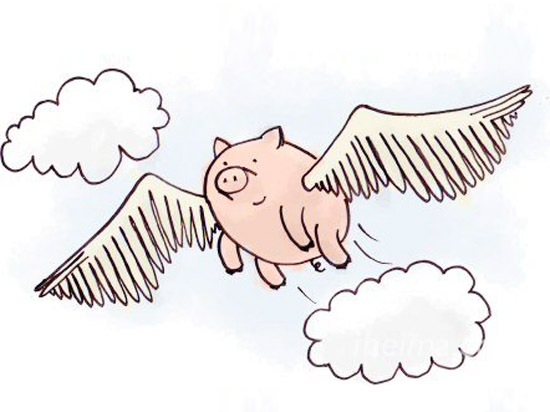 馬云說互聯(lián)網(wǎng)的豬要當心，雷軍造嗎？