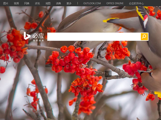 HoloLens太遠，必應(yīng)才是微軟重頭戲