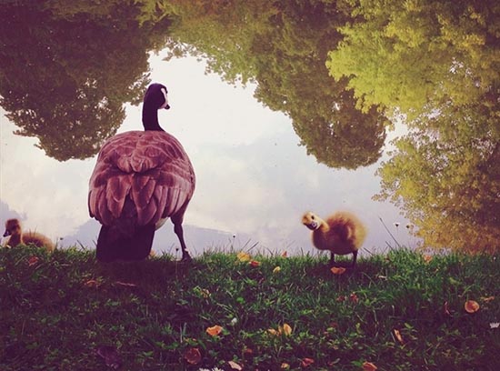 入門篇 | 如何在新年用手機拍出高逼格