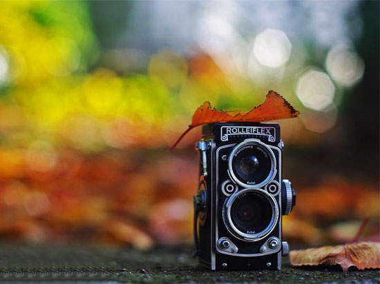 2014年影像業(yè)受手機攝像頭嚴重沖擊