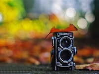 2014年影像業(yè)受手機攝像頭嚴重沖擊