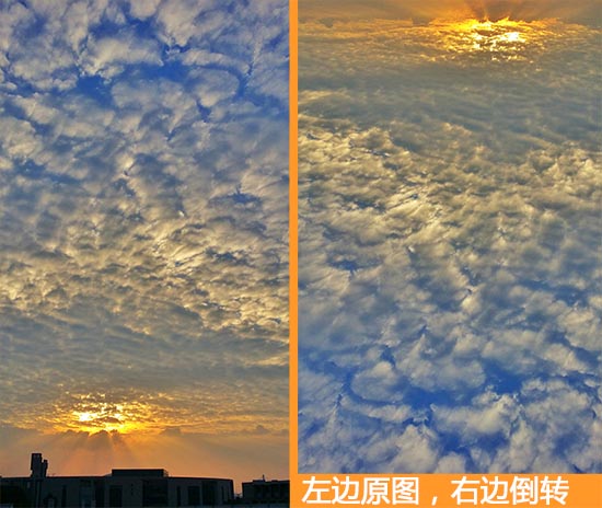 器材篇｜如何在新年用手機拍出高逼格