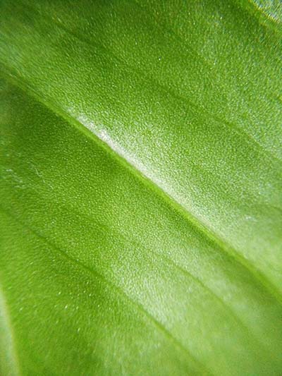 器材篇｜如何在新年用手機拍出高逼格