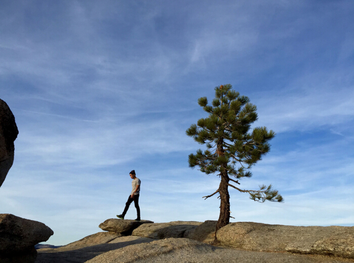 蘋(píng)果又來(lái)“安利”iPhone相機(jī)了，看圖！