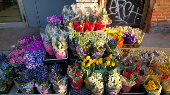 細(xì)節(jié)為王，從對(duì)比樣張看三星S6秒殺iPhone6 Plus