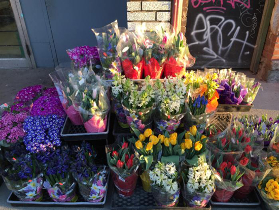 細(xì)節(jié)為王，從對(duì)比樣張看三星S6秒殺iPhone6 Plus