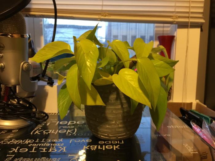 細(xì)節(jié)為王，從對(duì)比樣張看三星S6秒殺iPhone6 Plus