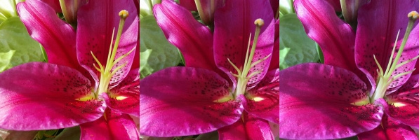 拍照技術哪家強？三星蘋果HTC旗艦大PK