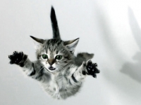 互聯(lián)網(wǎng)數(shù)據(jù)：連公務(wù)員也開始跳槽了？！