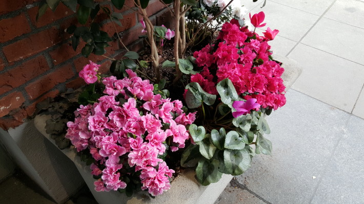 旗艦機(jī)樣片大PK，三星S6 Edge秒殺索尼Z3