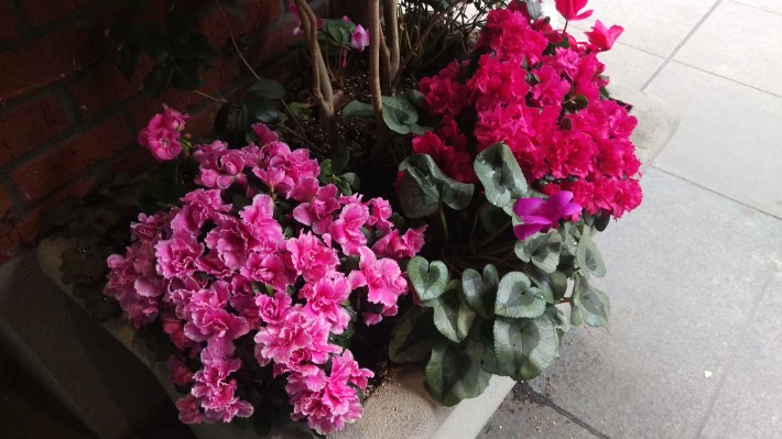 旗艦機(jī)樣片大PK，三星S6 Edge秒殺索尼Z3