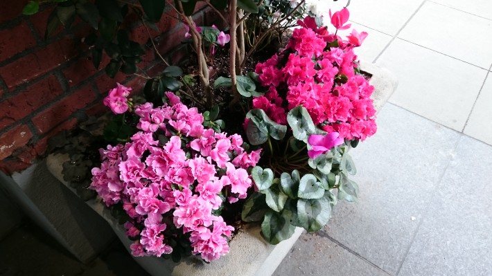 旗艦機(jī)樣片大PK，三星S6 Edge秒殺索尼Z3