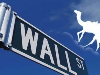 集體虧損，去哪兒網(wǎng)何以逆市而上