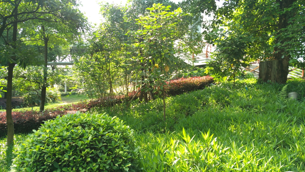 延續(xù)強(qiáng)勁拍攝功能，nubia Z9 mini體驗(yàn)