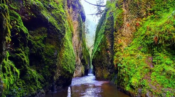 LG自曝G4攝像頭和樣張，效果驚呆了！