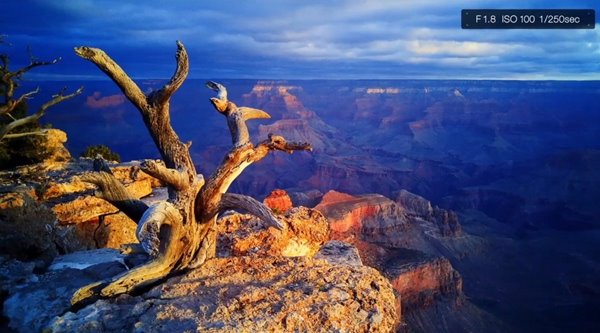 LG自曝G4攝像頭和樣張，效果驚呆了！