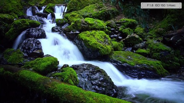 LG自曝G4攝像頭和樣張，效果驚呆了！