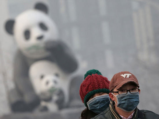 1431870019843335.jpg 研究表明:空氣污染會(huì)影響兒童智力