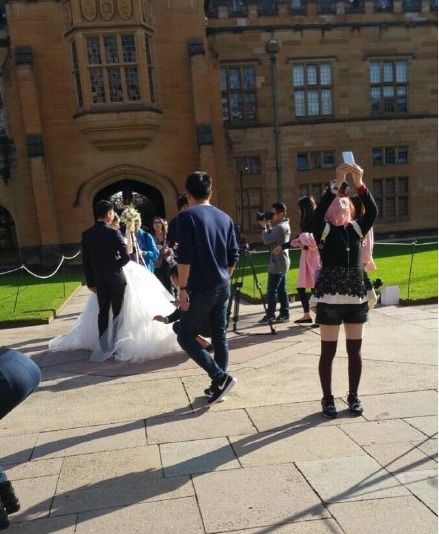 央視曝光京東賣假貨，劉強(qiáng)東卻和奶茶在拍婚照