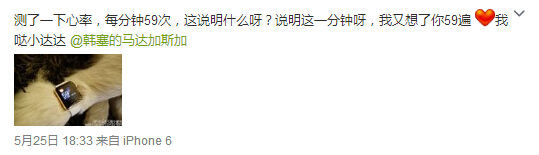 活得不如狗？王思聰愛犬身戴2只蘋果表