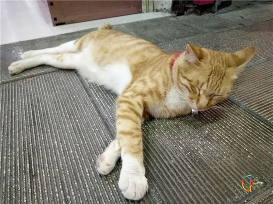 從細(xì)節(jié)處看真章，OPPO R7體驗(yàn)