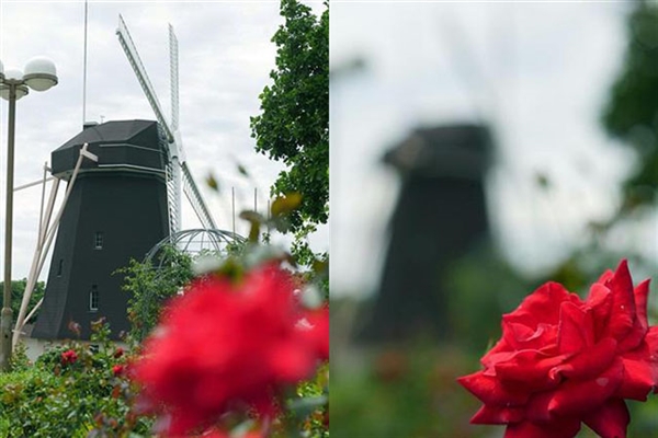 無反相機也能先拍照后對焦