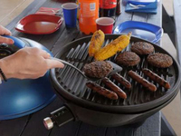 雷翻了！配置Wifi的智能燒烤架誕生