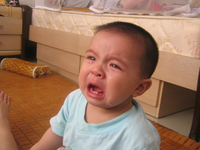 “寶寶”們怎么辦？收益幾乎全線跌破4%