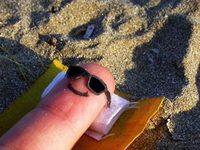 父親懷疑女兒被無人機(jī)偷窺，3槍將其擊落