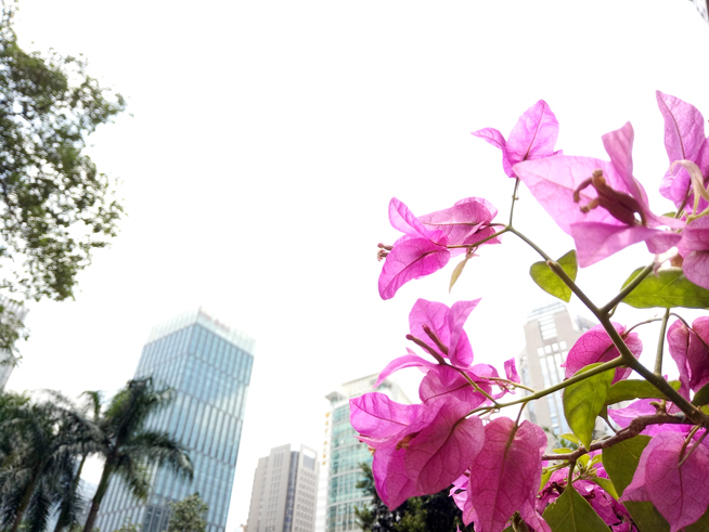 豈止于大！金屬美機(jī)OPPO R7 Plus體驗(yàn)評測