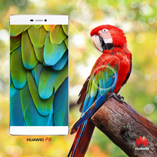 無(wú)邊框既視感，華為要推新版P8？！