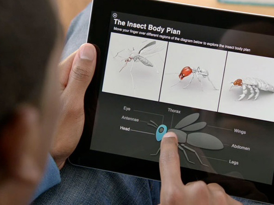 iPad賣(mài)不動(dòng)了,蘋(píng)果只好盯上企業(yè)用戶(hù)