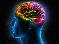 小心！研究發(fā)現(xiàn)看色情圖片或?qū)е麓竽X萎縮