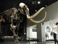 這叼炸天的自拍器，竟能飛起來(lái)！