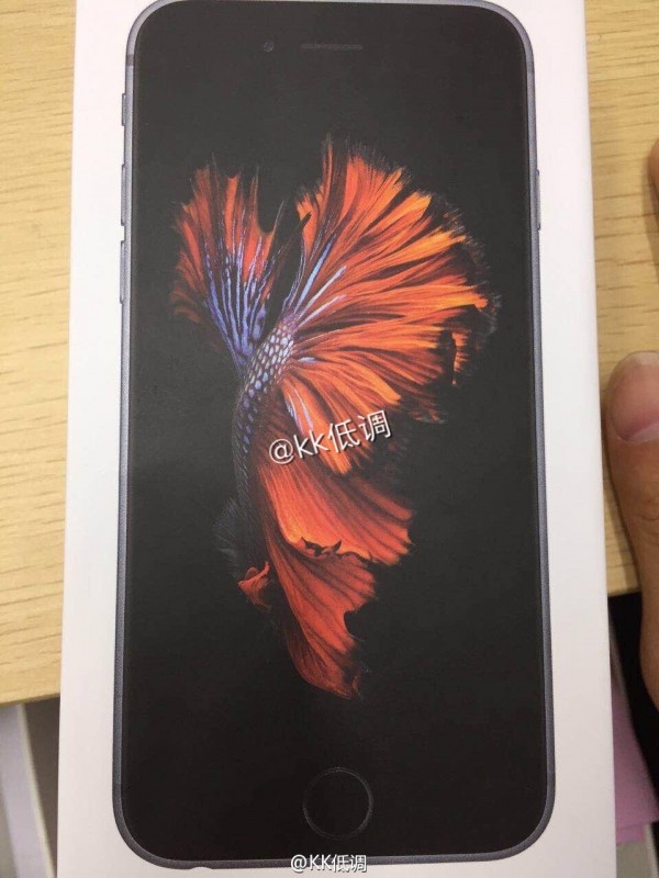 iPhone 6s包裝盒再曝光 華強(qiáng)北報(bào)價(jià)曝光