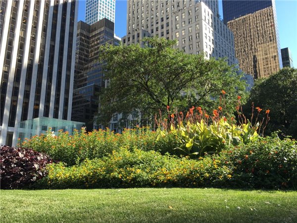 拍照對比：iPhone 6s Plus、三星S6 edge+、LG G4