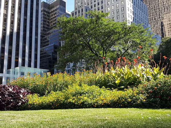 拍照對比：iPhone 6s Plus、三星S6 edge+、LG G4