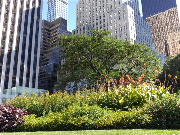 拍照對比：iPhone 6s Plus、三星S6 edge+、LG G4