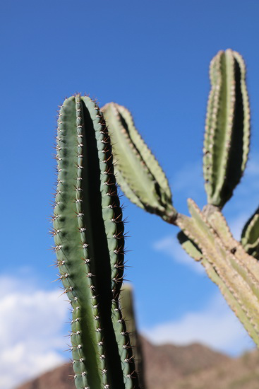 買哪個(gè)好？終極PK：微單和單反誰出色？